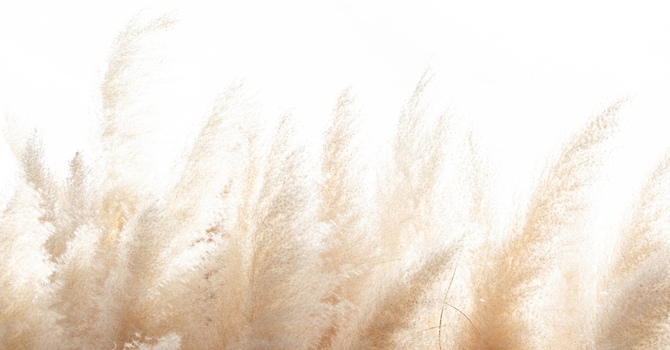 Now Accepting New Clients: 