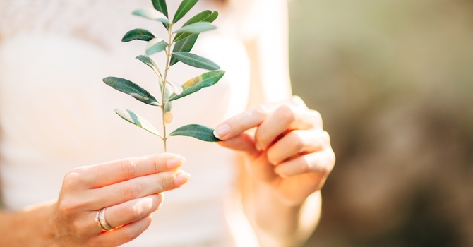 Honoring Borderline Personality Disorder Awareness Month  image