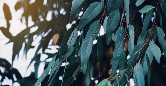 How Couples Counselling Improves Communication and Resolves Conflicts