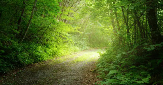 3 Counselling Myths That Keep People Stuck—and What’s Actually True